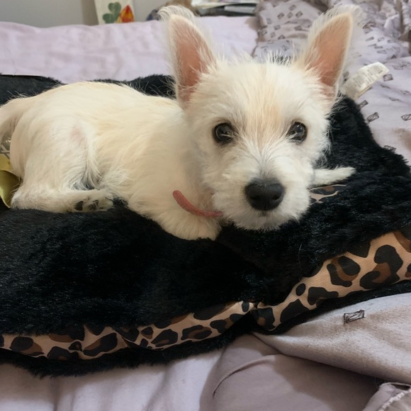 Meet your Posher, Beth - Picture 12 of 13